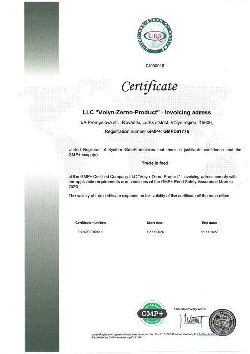 Сертифікат IGMP+