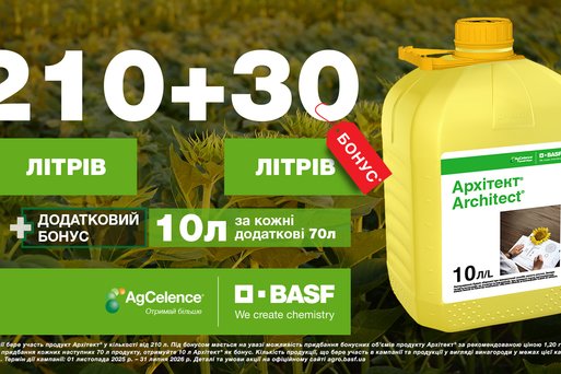 Продуктові промо весна 2026 разом з BASF!
