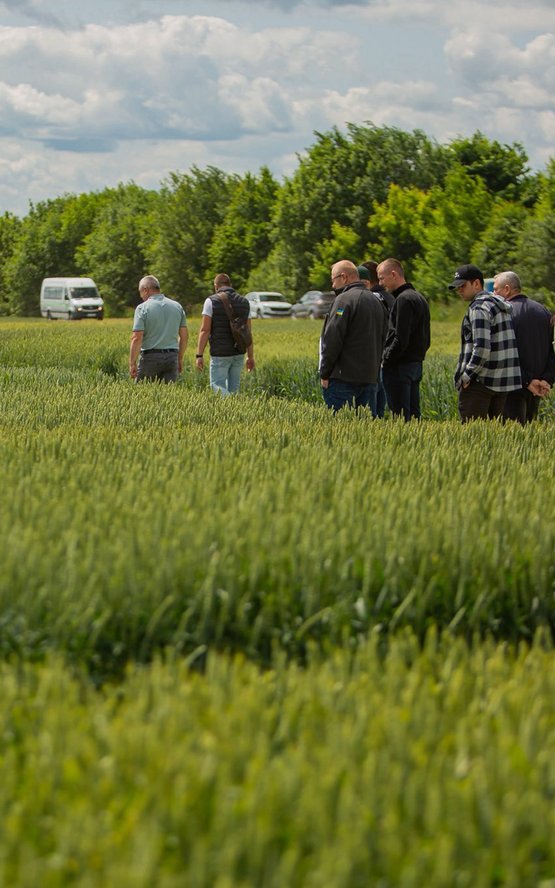 Програма покращення ґрунтів